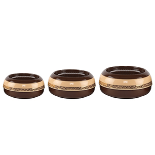 Fresh Organic Mustard Leaves 